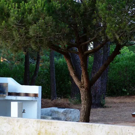 Hotell Orbitur -